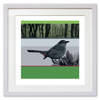 Qunstwerk - Digital FineArt Print auf Hahnemühle Photo Rag® matt Papier, gerahmt | Katzendrossel