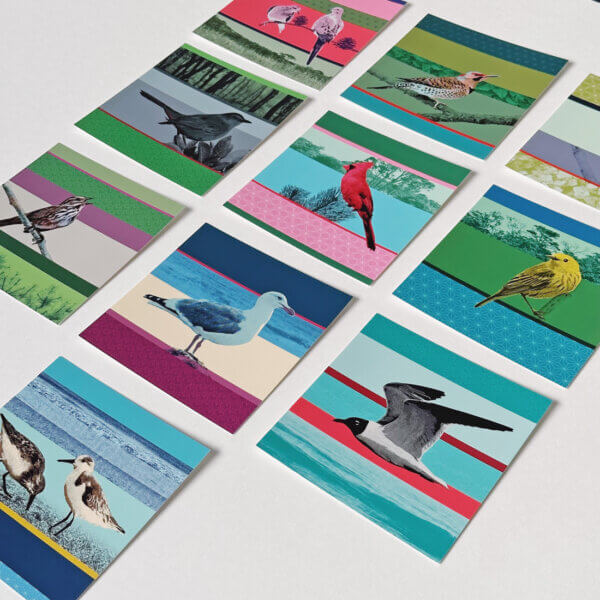 Qunstwerk | Postkartenset «Vögel von Fire Island»