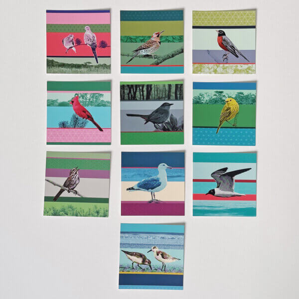 Qunstwerk | Postkartenset «Vögel von Fire Island»